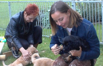 Familie St�cher