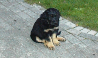 Arne will nicht Sitz machen!