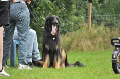 Birka