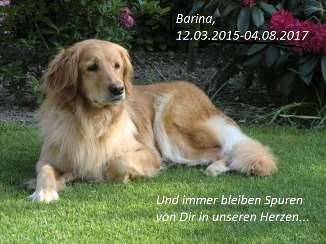 Barina