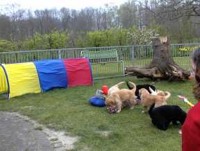 Spielstunde