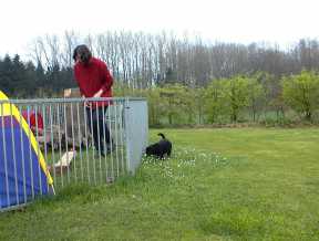 Bosse pfl�ckt Blumen