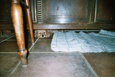 Im Versteck