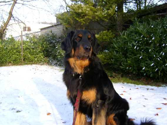 Carlos