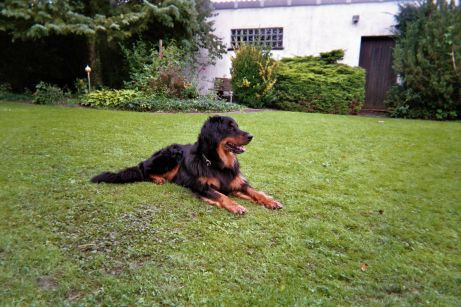 Carlos