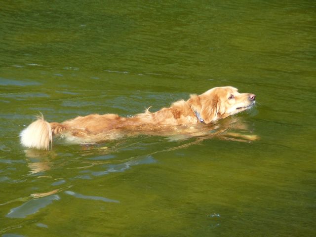 Wassergymnastik