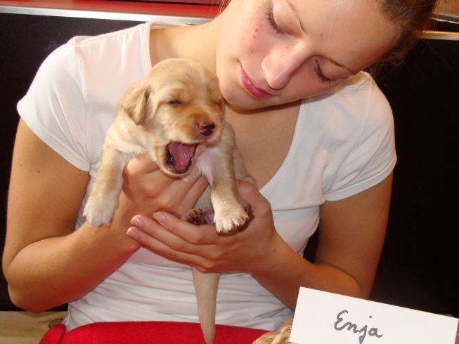 Enja