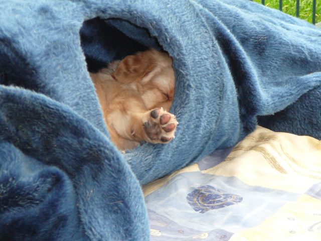 Versteckt
