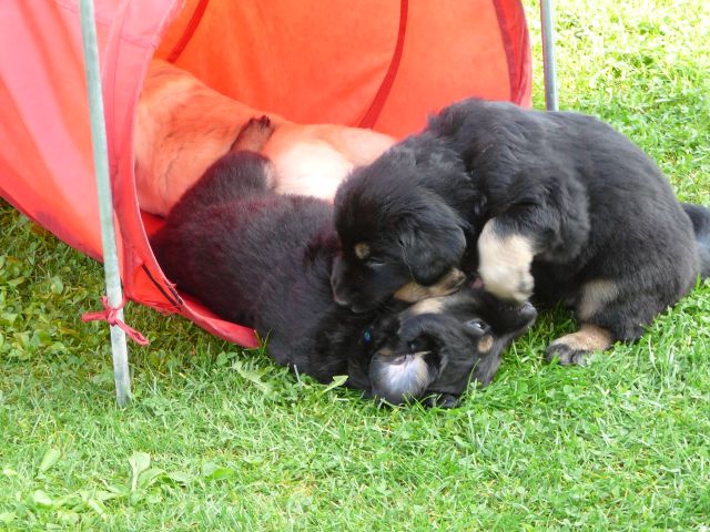 Und da waren 2 Br�der