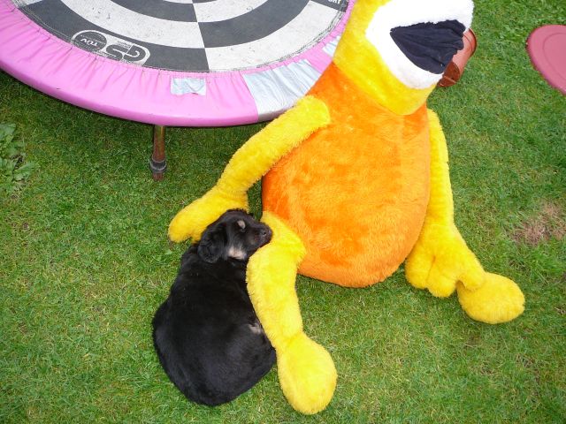 Gro�er Monsterfreund