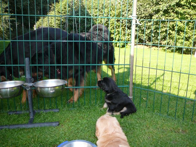 Werd�ich eigentlich auch mal so gro�