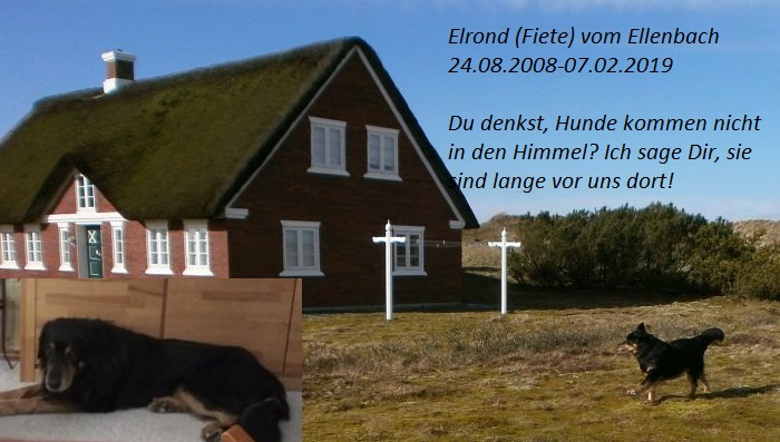 Elrond