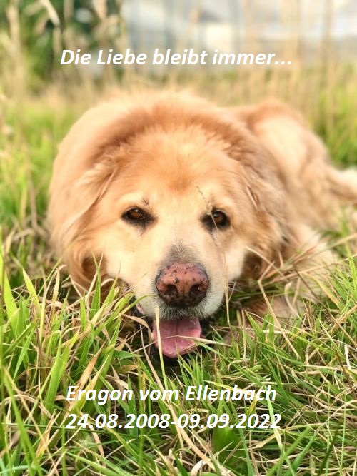 Eragon