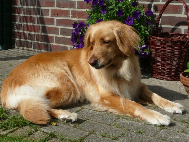 Abby wu�te es ja schon lange!