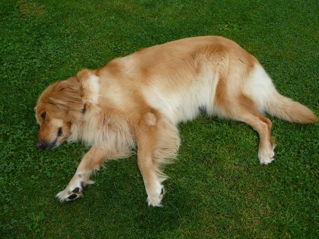 Relaxen.