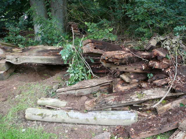 Garten-Wurfh�hle
