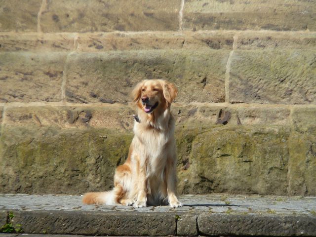 Abby am Kaiser Denkmal