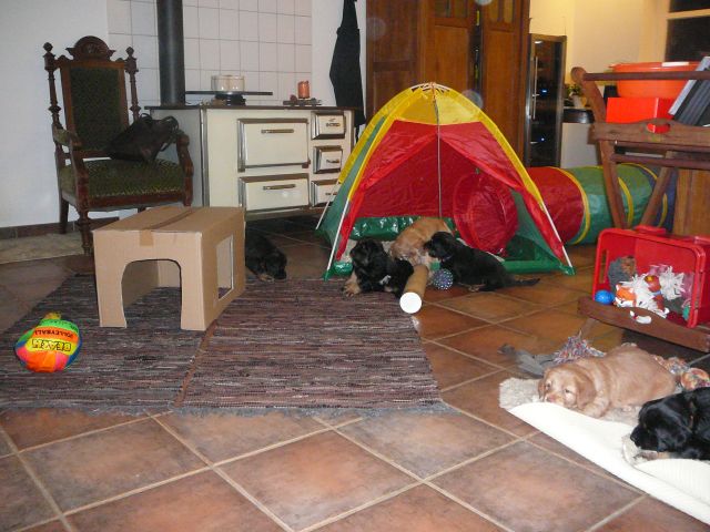 Zelten in der K�che