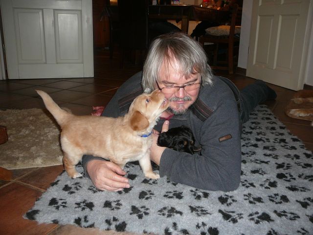 Kuscheln mit Herrchen