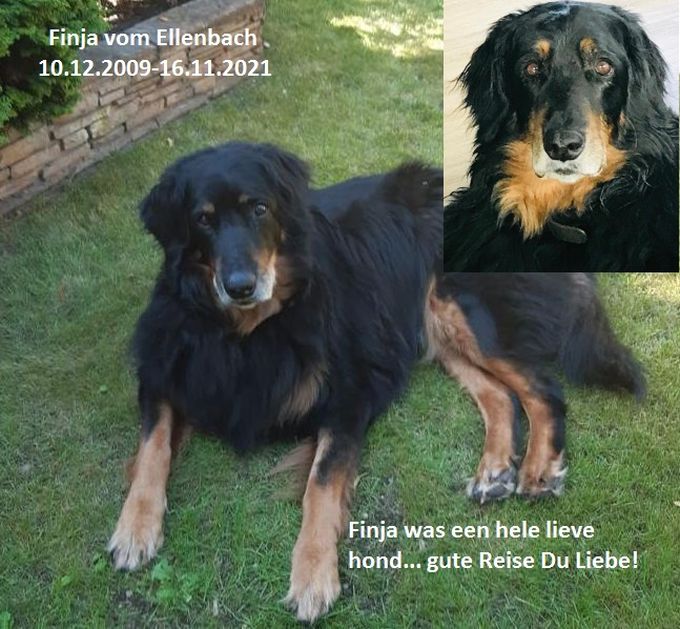 Finja