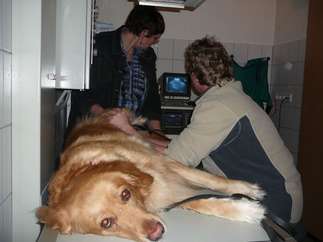 spannend