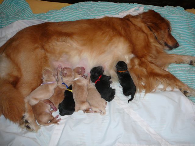Mama Abby noch müde!