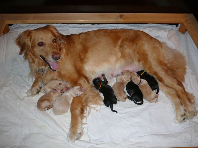 Glückliche und stolze Mama Abby