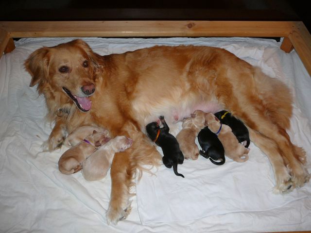 Glckliche und stolze Mama Abby